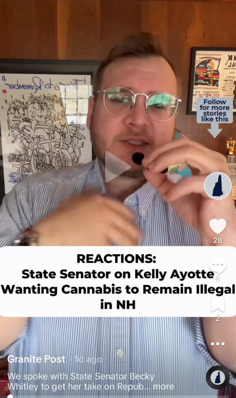 kelly Mayotte wants cannibis to stay illegal in nh