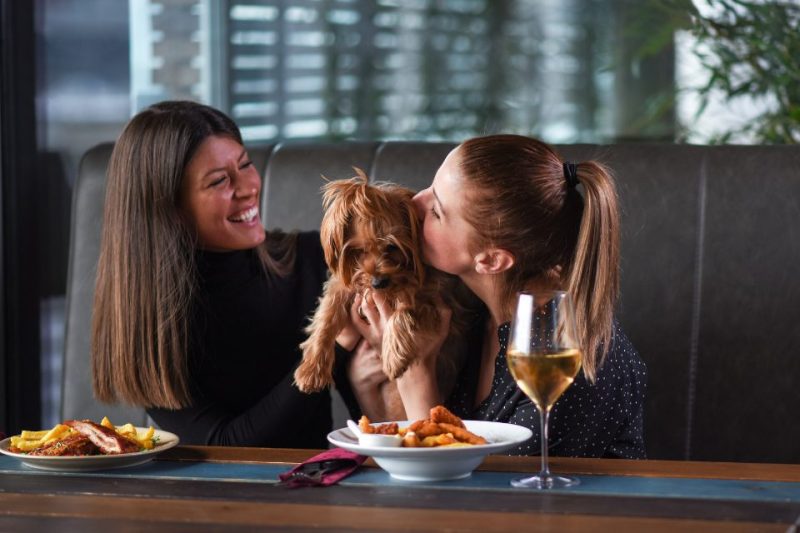 Two ladies kiss a yorkie at a dog-friendly restaurant.