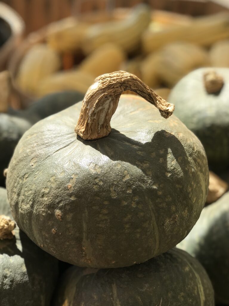 Head to Hollis for the perfect fall day