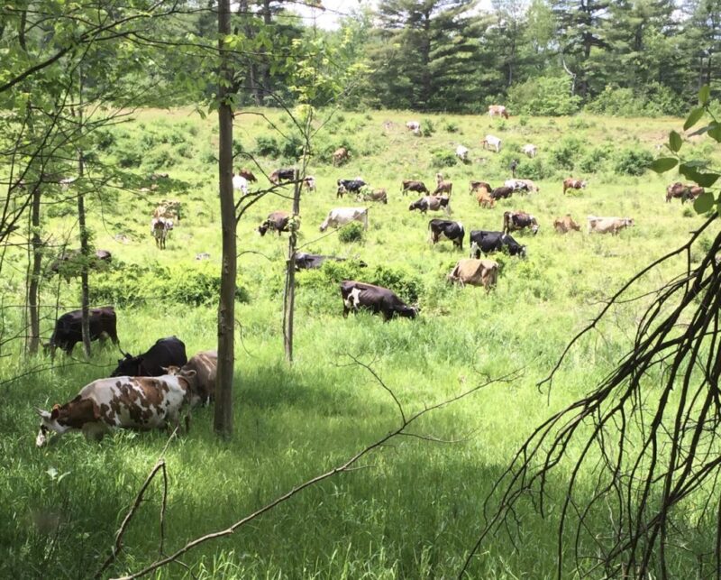 14 magical holiday events in New Hampshire