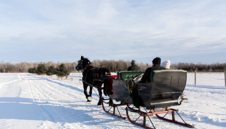 6 places to take horse-drawn sleigh rides in New Hampshire