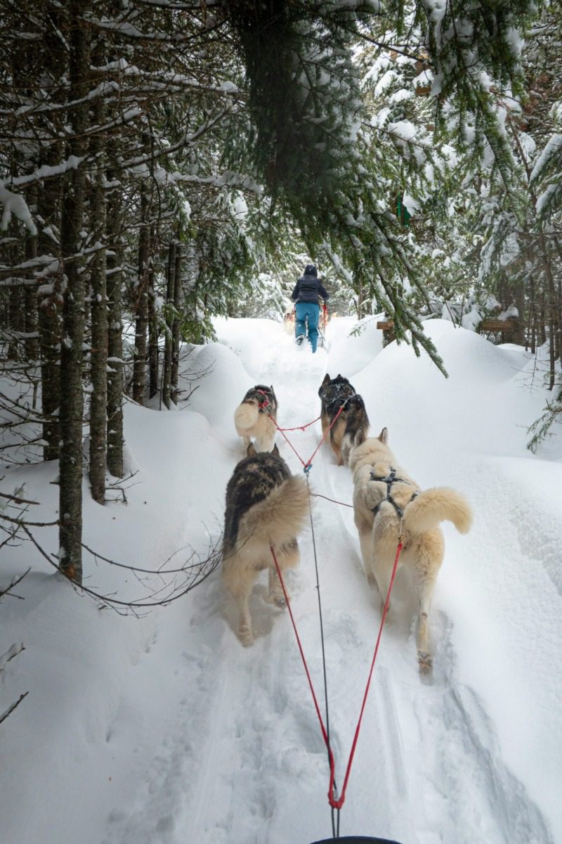 Where to go snowshoeing, cross-country skiing, tubing, & dog-sledding in New Hampshire 