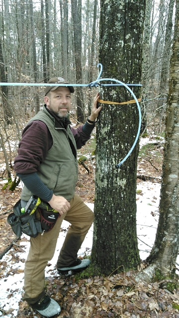 Your guide to 2025 New Hampshire Maple Month