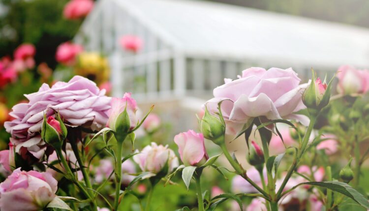 The 10 most gorgeous public gardens in New Hampshire