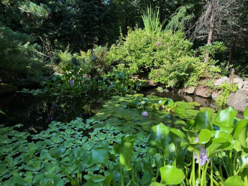 The 10 most gorgeous public gardens in New Hampshire