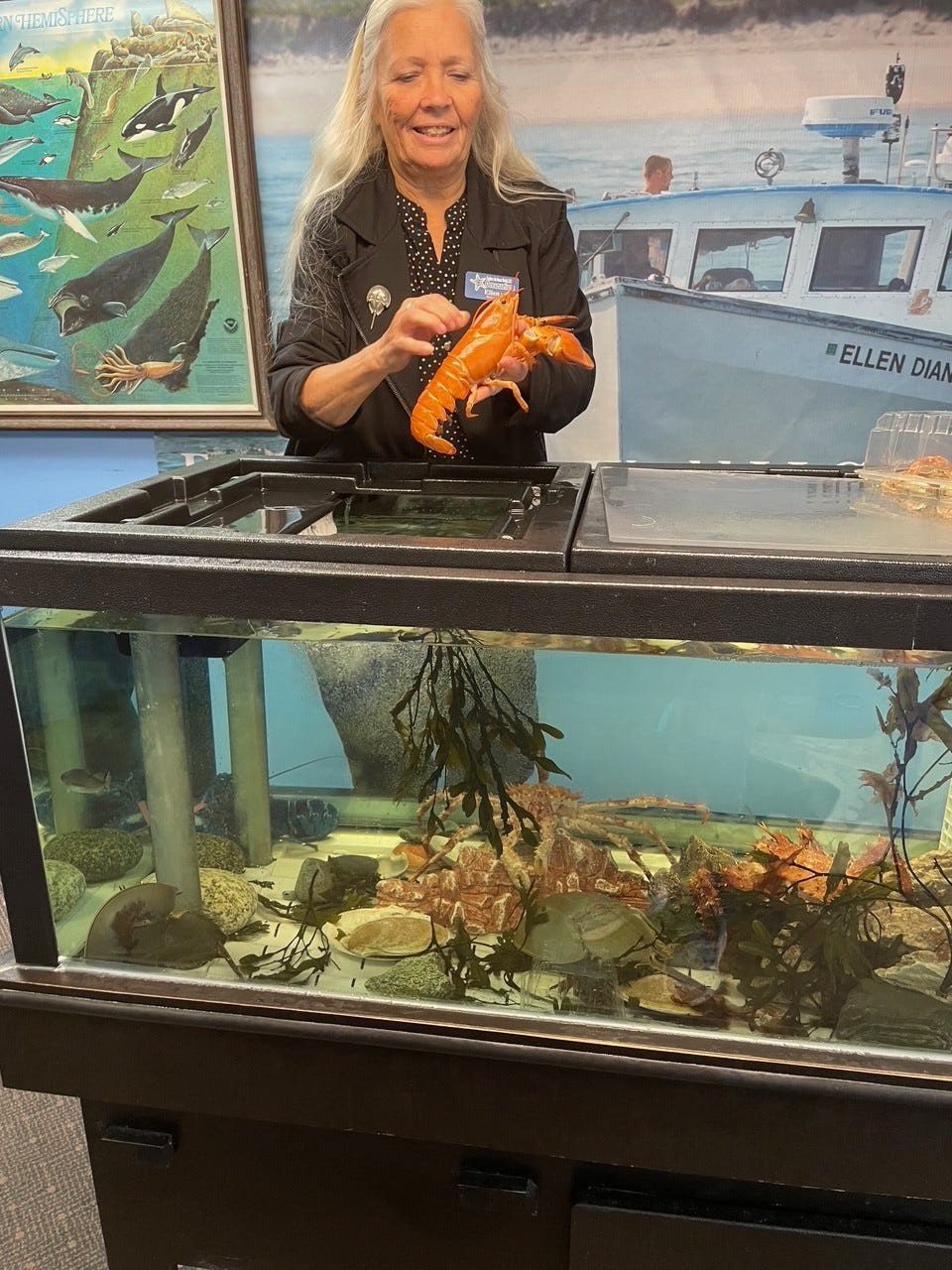 woman holds orange lobster