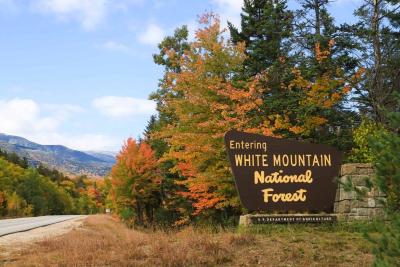 White Mountain National Forest attracts millions of visitors every year thanks to its abundance of natural beauty.