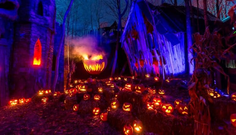 Wander through these haunted houses in New Hampshire to support local businesses while having a spine-chilling time.